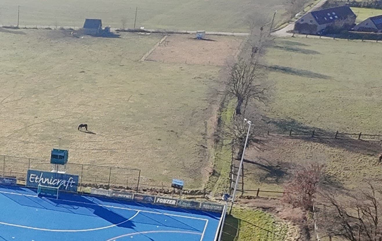 Begeleiding IJsbaan & Hockey Lier (AJLM)